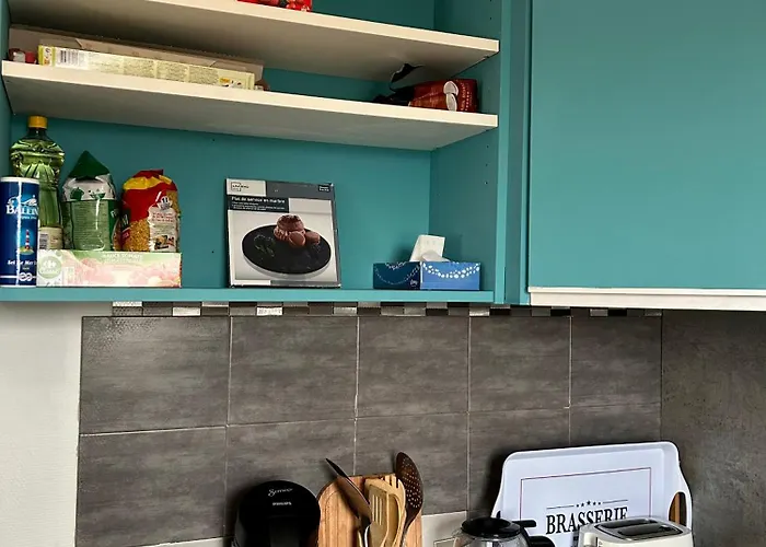 Avec Parking Prive En Plein Centre Ville, Proche Plage, Eurotunnel, Ferry Et Gare Apartment